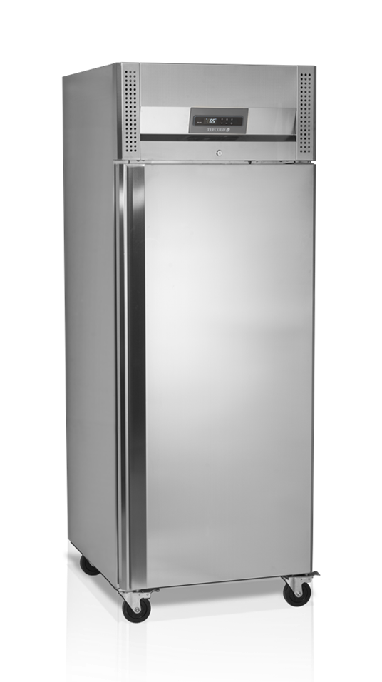 Шкаф холодильный TEFCOLD RKS600FISH для рыбы нержавеющий